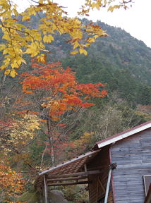 写真16 藤内小屋 写真16