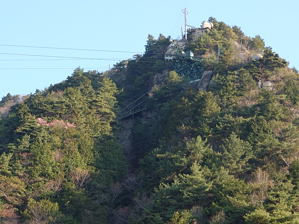 写真1 5号塔 写真1