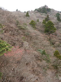 写真1 写真1