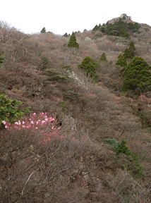 写真3 7合目から中道を見上げる 写真3