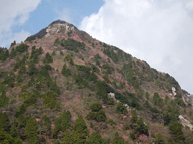 写真2 立岩から 写真2