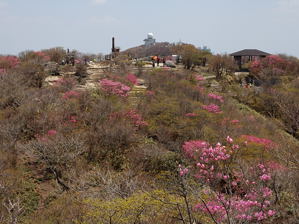 写真8 御在所岳・三角点 写真8
