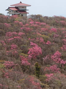 写真12 御嶽大権現 写真12