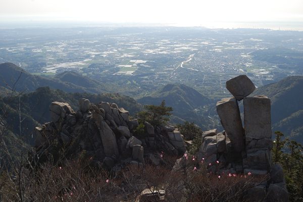 写真1 地蔵岩 アカヤシオの花が少ない 写真1