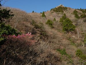 写真5 北谷展望台にて 写真5