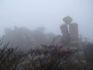 写真4 地蔵岩 アカヤシオの花が少ない 写真4