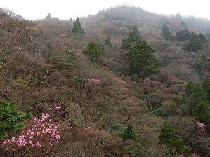 写真2 北谷展望台 写真2