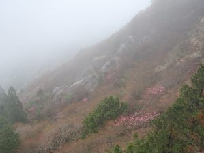 写真4 テラスから 写真4