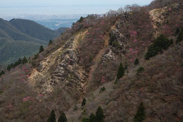写真10 写真10