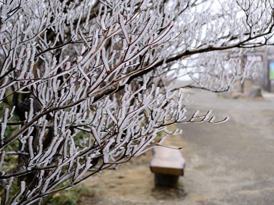 写真10 朝陽台 写真10