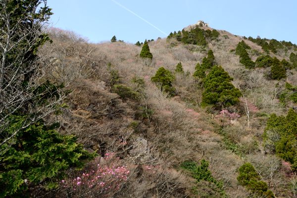 写真4 1000mから 写真4