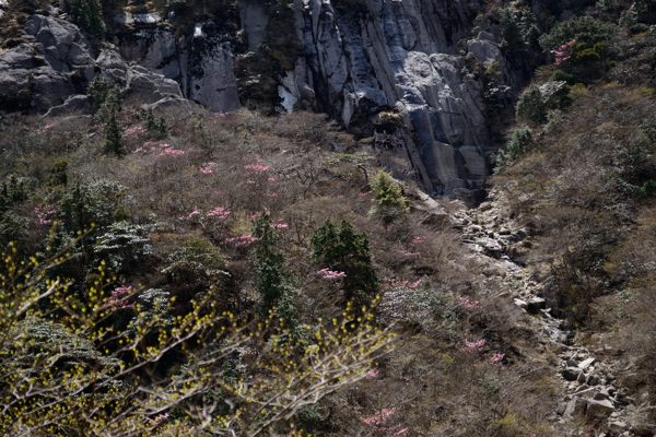 写真9 裏道・藤内壁 写真9
