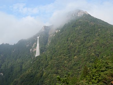 写真4 アカヤシオ 写真4