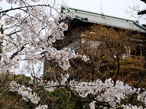 写真19 写真18