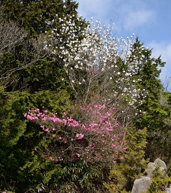 写真6 地蔵岩 写真6