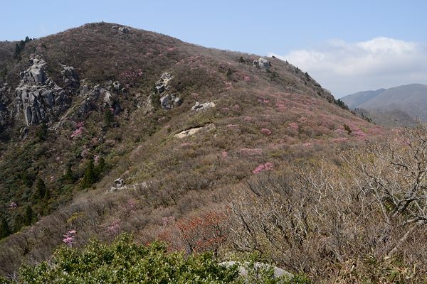 写真6 国見岳北面 写真6