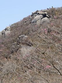 写真11 望湖台 写真11