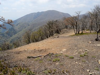 写真12 雨乞岳、1155m附近にて 写真12