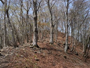 写真13 1066m 写真13