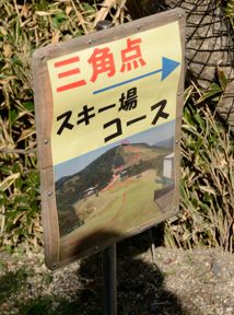 写真6 写真6