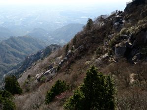 写真6 1100m、少し咲いている 写真6