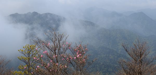 写真2 鎌尾根 写真2