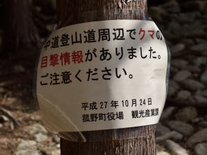 写真2 写真2