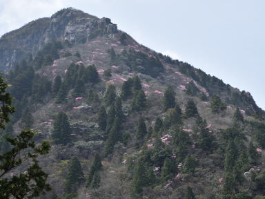 写真3 御在所岳 写真3