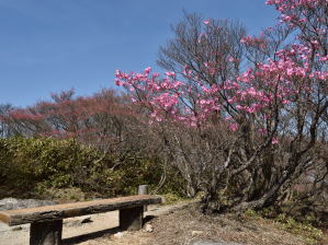 写真11 山頂・朝陽台にて 写真11