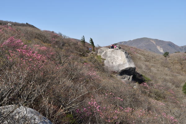 写真4 キノコ岩 写真4