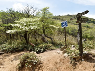 写真2 国見峠 写真2