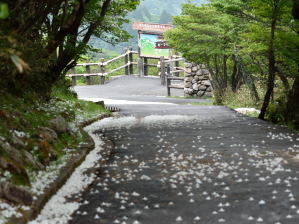 写真8 山頂遊歩道 写真8 山頂遊歩道