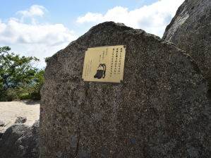 写真7 写真7