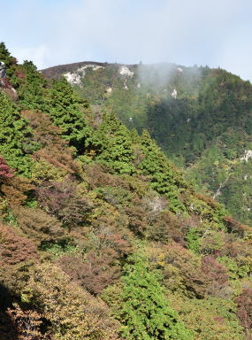 写真4 御在所岳中道 写真4 御在所岳中道