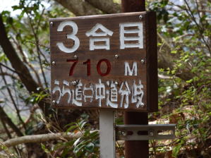 写真1 標識 写真1 標識