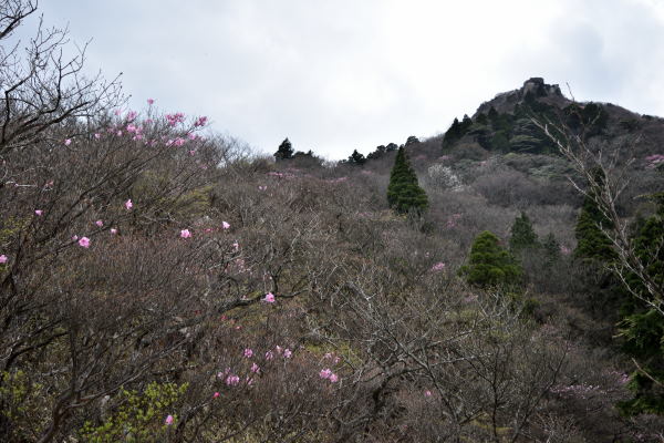 写真3 七合目から見上げる中道登山道 写真3 七合目から見上げる中道登山道