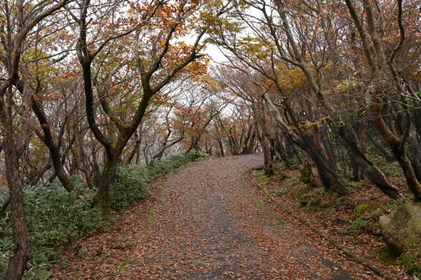 写真6 御在所岳山頂部にて 写真6 御在所岳山頂部にて