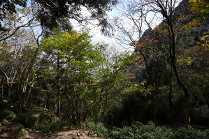 写真13 御在所岳 裏道にて 写真13 御在所岳 裏道にて