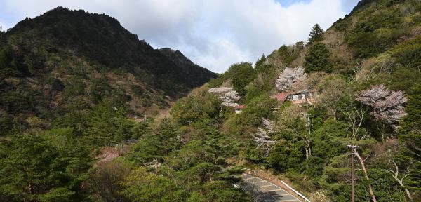 写真1 御在所山の家と弥一ヶ岳 写真1 御在所山の家と弥一ヶ岳