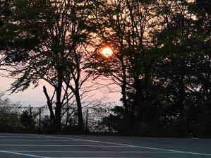 写真1 日の出、中道駐車場 写真1 日の出、中道駐車場
