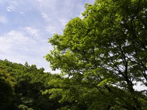 写真8 チロリン村跡にて 写真8 チロリン村跡にて