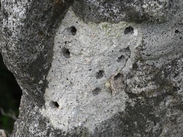 写真14 不動明王の穴 写真14 不動明王の穴