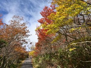 写真9 御在所岳、山頂遊歩道 写真9 御在所岳