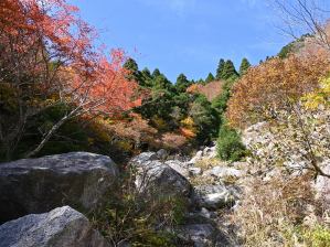 写真12 裏道 写真12 裏道