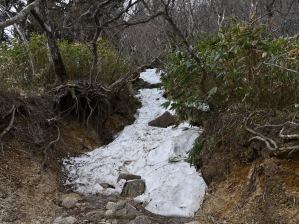 写真10 七合目過ぎの溝道 写真10 七合目過ぎの溝道