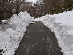 写真16 朝陽台の遊歩道 写真16 朝陽台の遊歩道