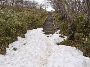 写真19 三角点へ 写真19 三角点へ