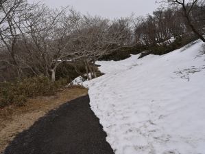 写真24 遊歩道 写真24 遊歩道