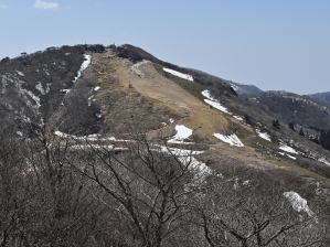 写真12 山頂にて 写真12 山頂にて