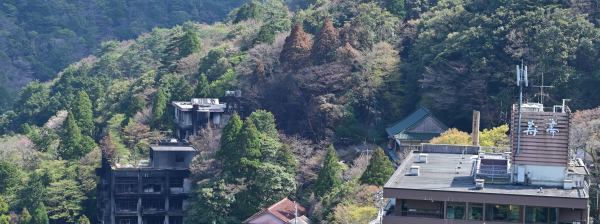写真15 鶯花荘の火災跡 写真15 鶯花荘